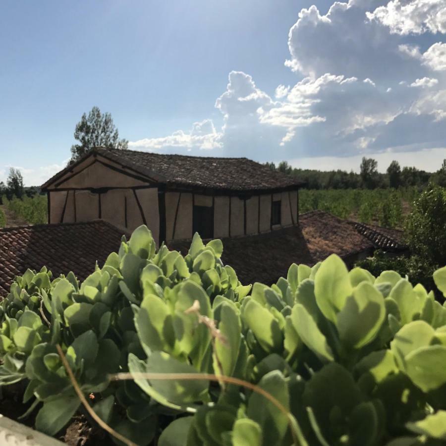 Molino De Villacelama Luaran gambar